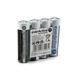EverActive AA Batterien